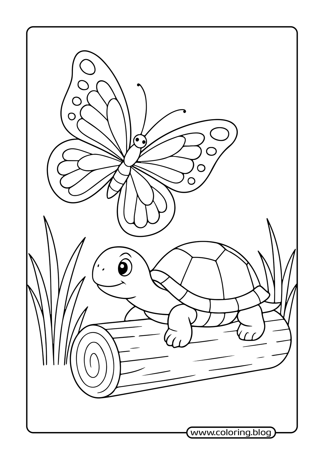 Butterfly and Turtle coloring page