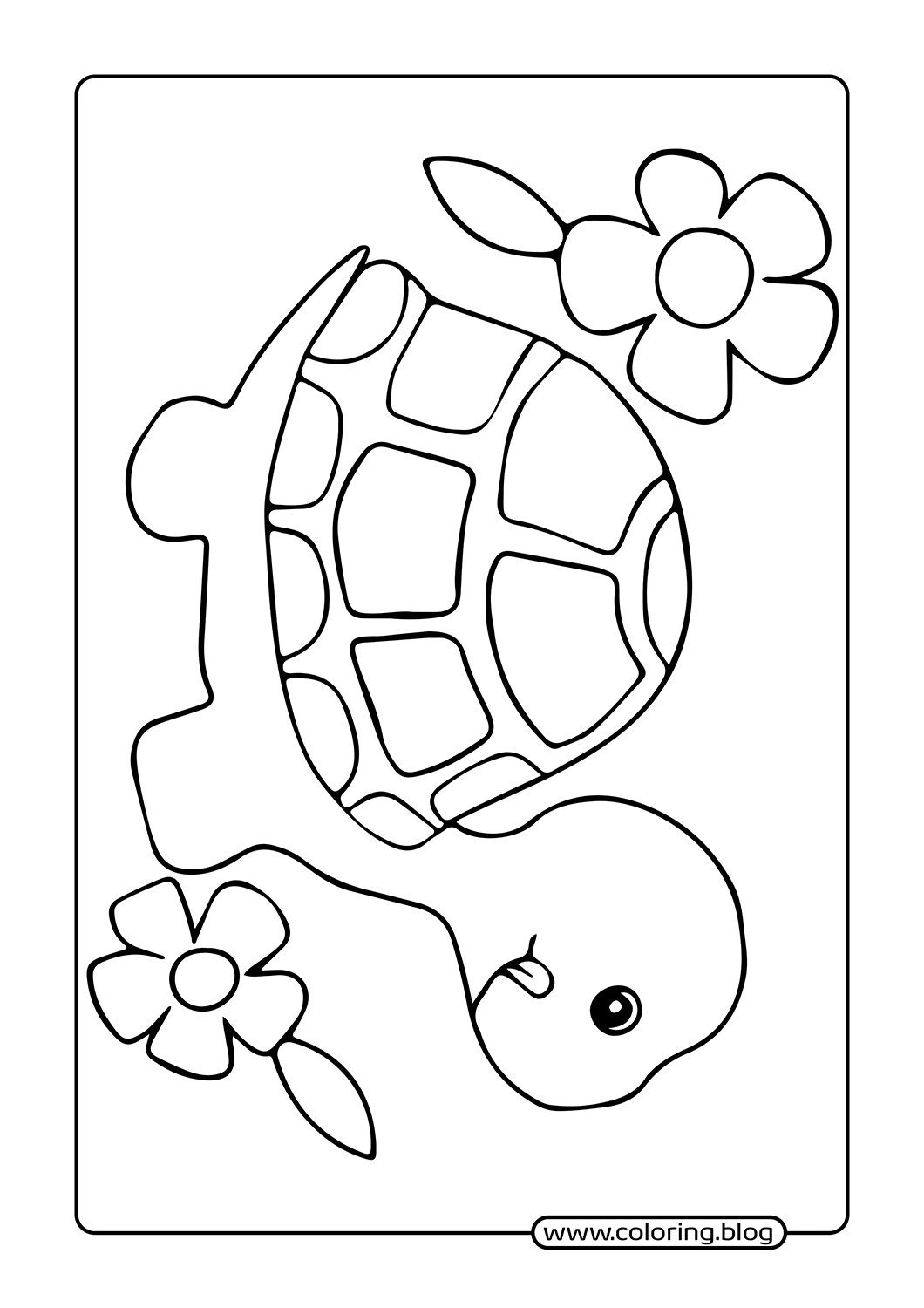 Cute Turtle coloring page